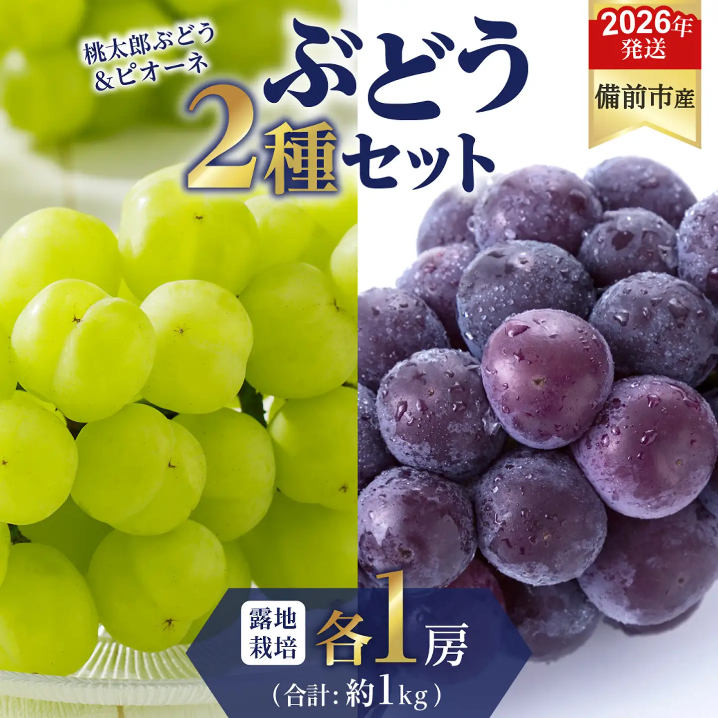 【2026年発送分　先行受付開始！】びぜん葡萄「桃太郎ぶどう」「ピオーネ」（露地栽培）各1房入（令和8年8月中旬～9月中旬頃発送）【葡萄 桃太郎ぶどう ピオーネ】