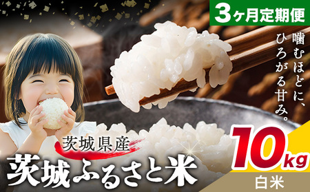 米10kg白米3回定期便《申込月の翌月から出荷開始》おこめ