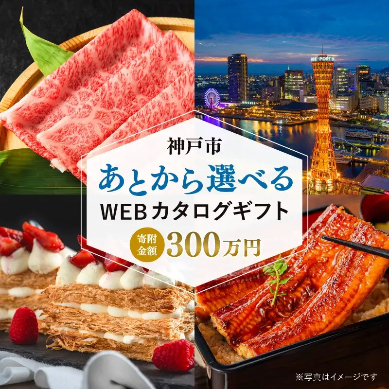あとから選べるWEBカタログギフト（寄附300万円コース）900000ポイント神戸市