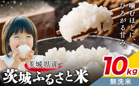 無洗米10kg《7-14日以内に出荷予定(土日祝除く)》おこめ
