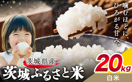 米20kg白米《7-14日以内に出荷予定(土日祝除く)》おこめ