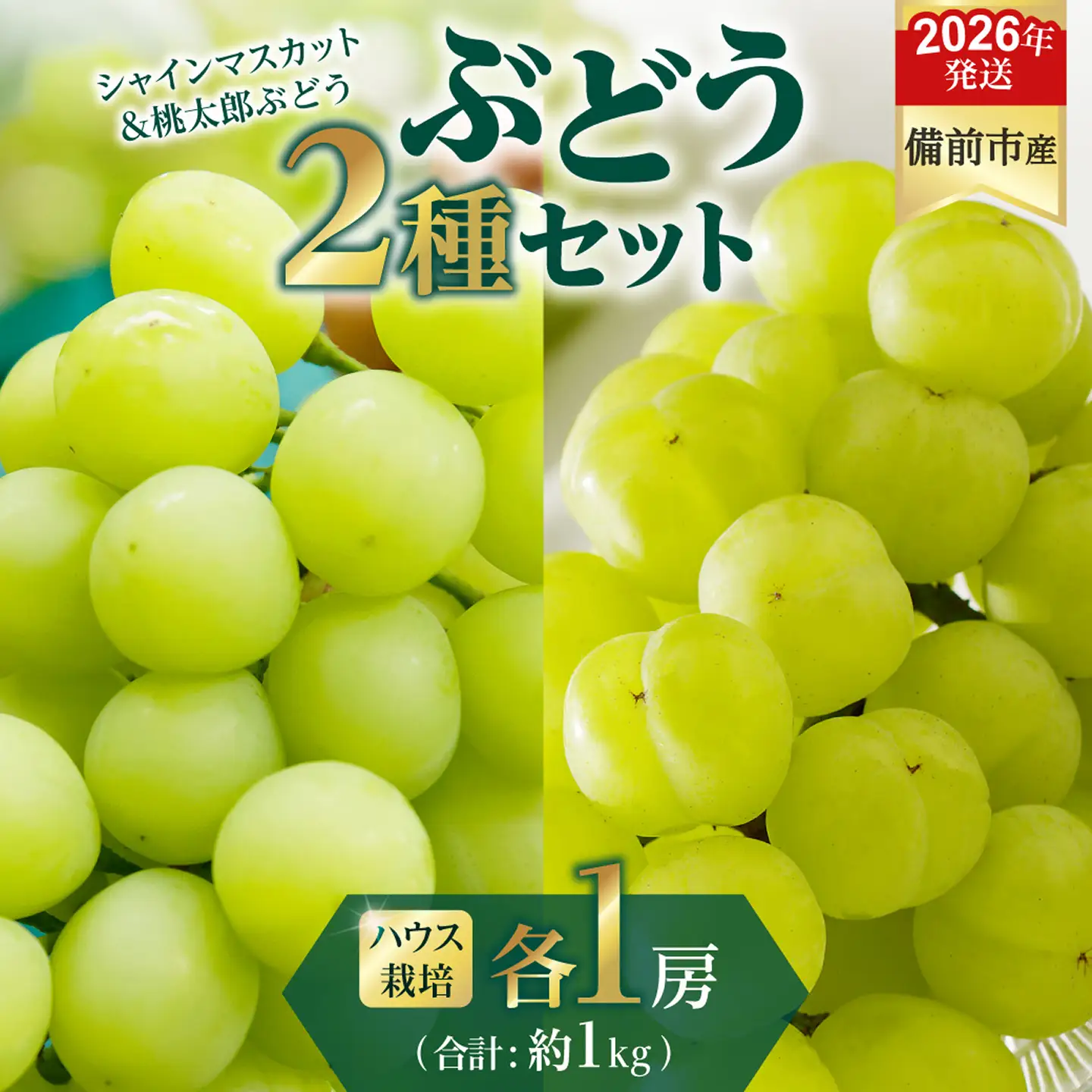 【2026年発送分　先行受付開始！】びぜん葡萄「シャインマスカット」「桃太郎ぶどう」（ハウス栽培）各1房入（令和8年8月中旬～9月中旬頃発送）【葡萄 シャインマスカット 桃太郎ぶどう】