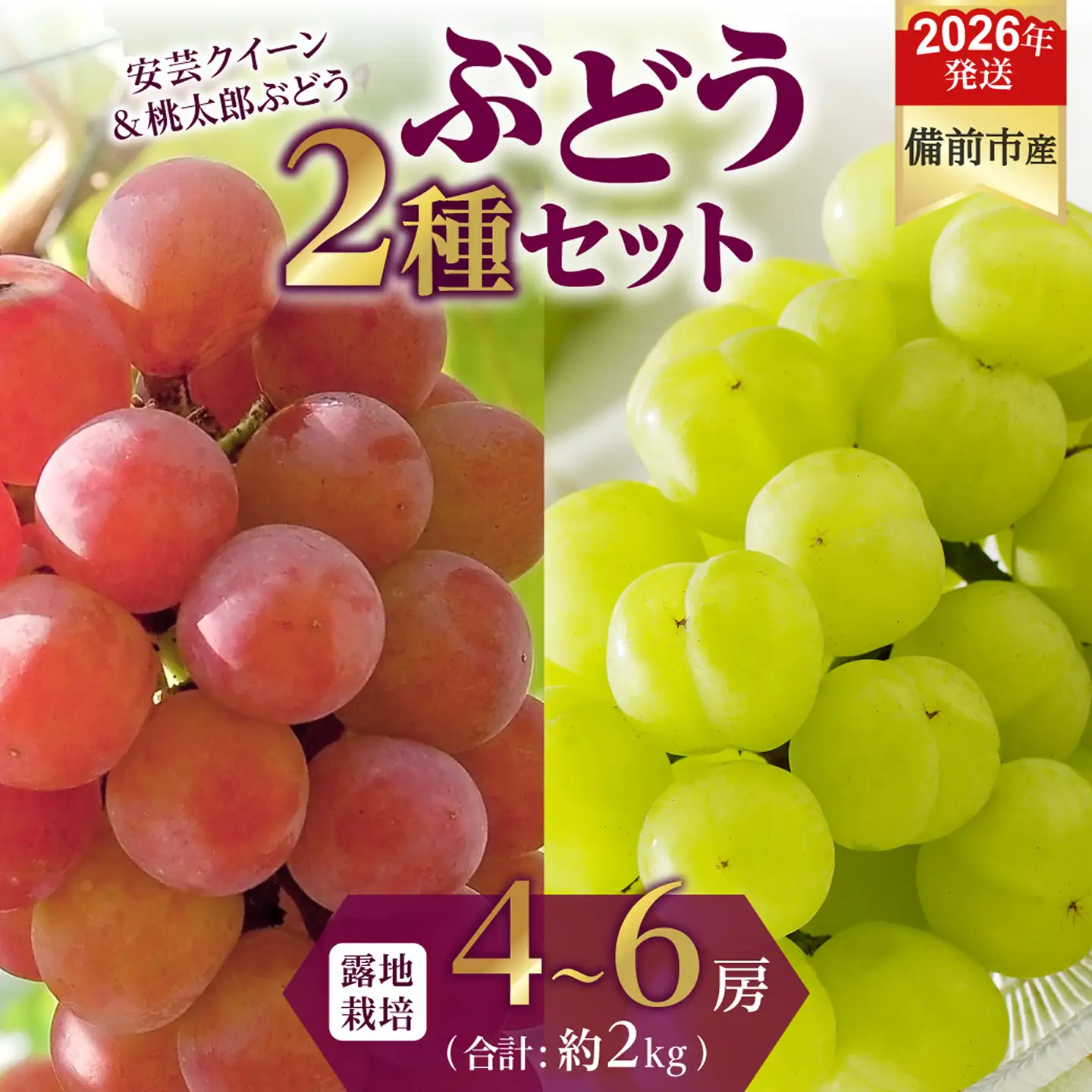 【2026年発送分　先行受付開始！】びぜん葡萄「安芸クイーン」「桃太郎ぶどう」（露地栽培）約2㎏入（令和8年9月上旬～9月下旬頃発送）【葡萄 安芸クイーン 桃太郎ぶどう】