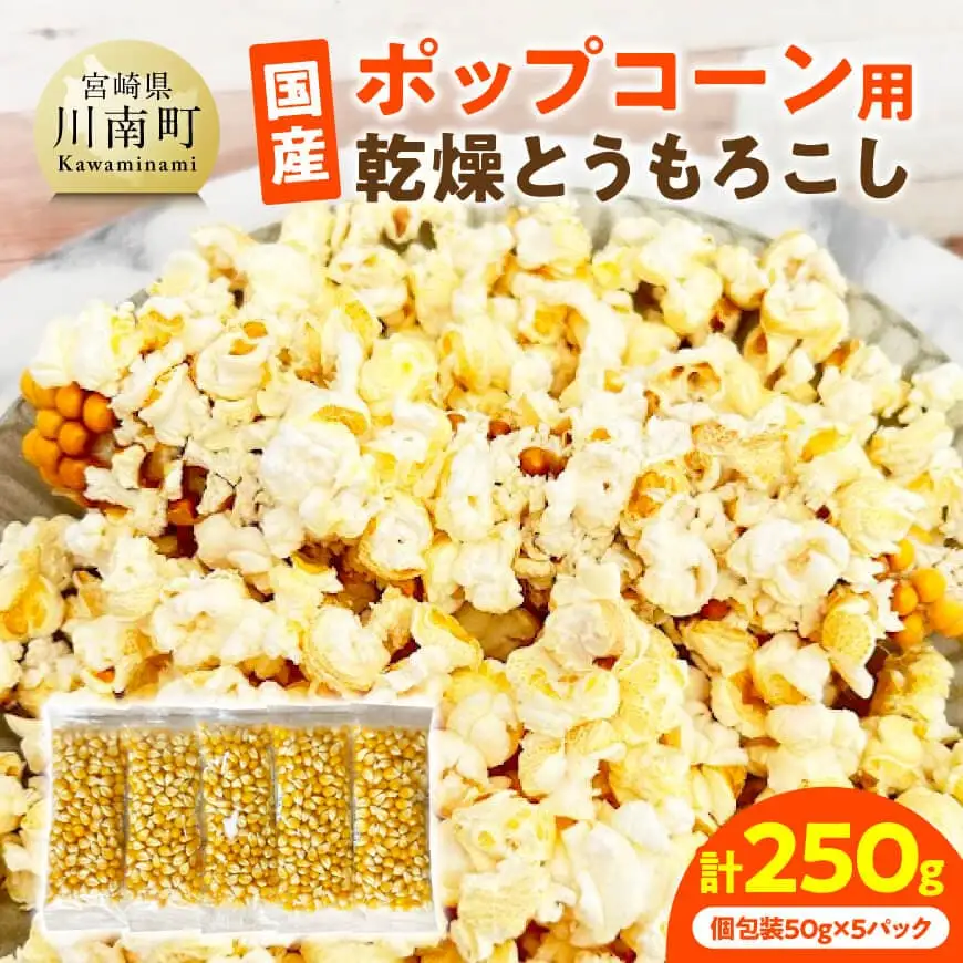 国産ポップコーン用（乾燥とうもろこし）　250g（個包装50g×5パック） 【 数量限定 期間限定 宮崎県産 ポップコーン 】