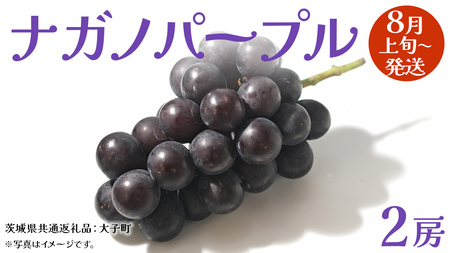 ナガノパープル 2房 【2026年8月上旬発送開始】(茨城県共通返礼品：大子町)