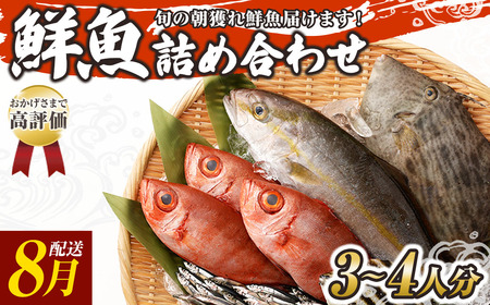 旬の朝獲れ鮮魚詰め合わせ 【2026年8月配送※着日指定不可】【以布利定置網　漁師直送】【S00818-8】