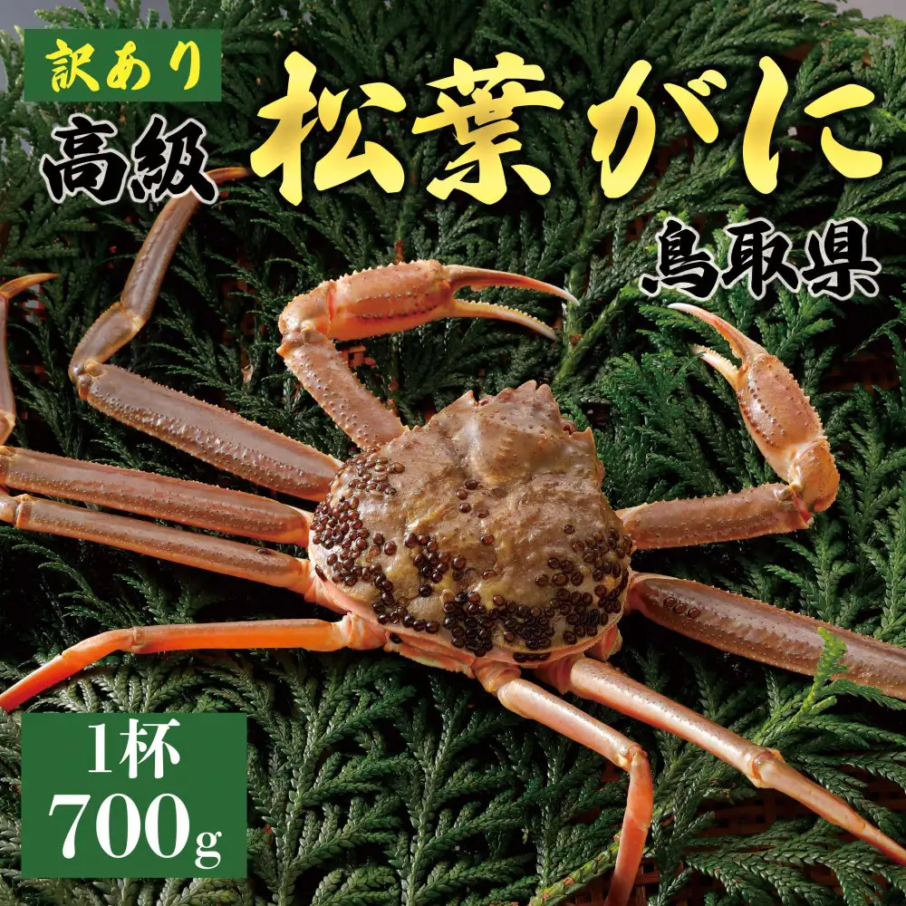 1050.【2027年1月～2027年3月発送】特撰 松葉がに （なま）【訳あり】700g超のサイズ 食べ応えあり 1杯 | カニ 松葉がに