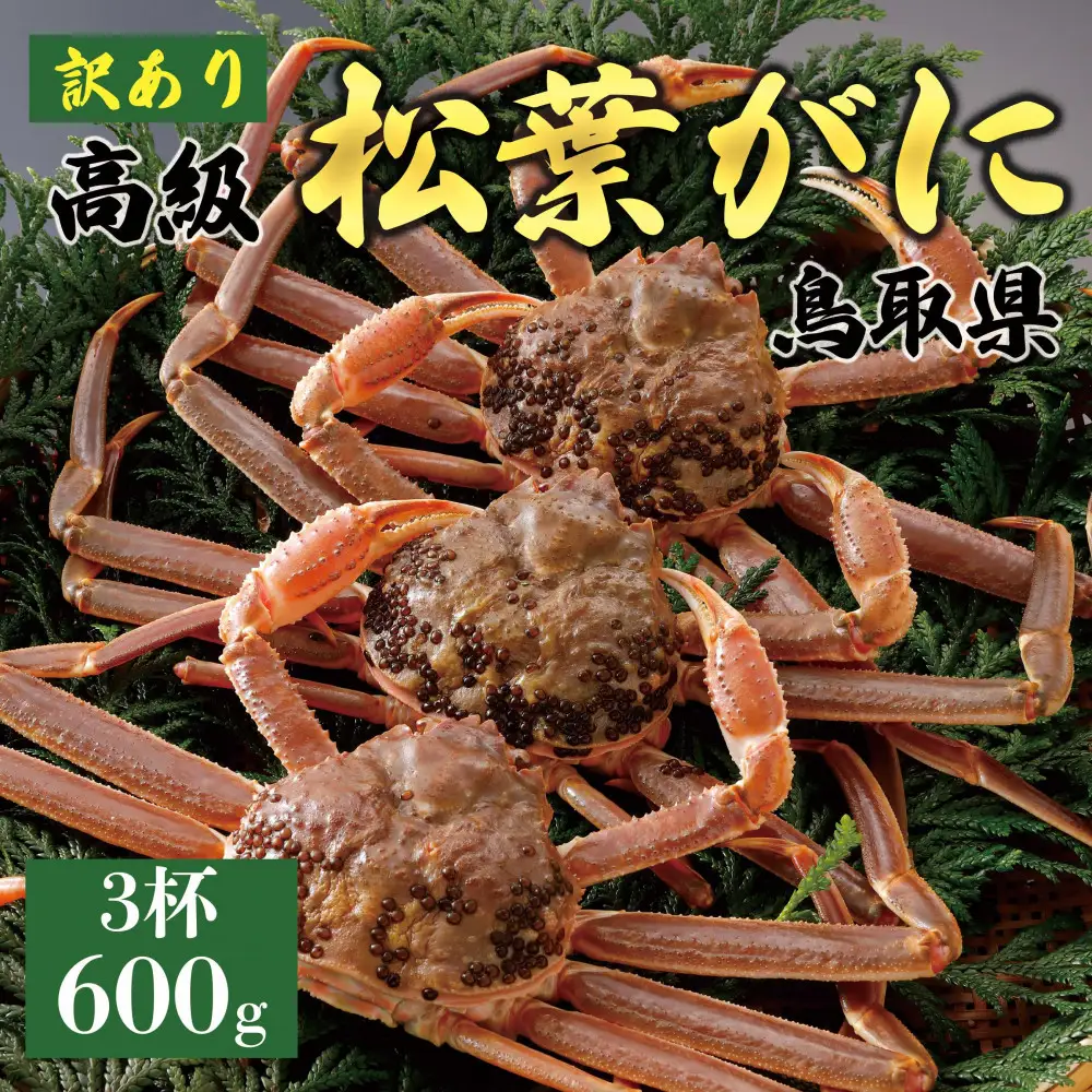 1055.【2027年1月～2027年3月発送】特撰 松葉がに （なま）【訳あり】600g超のサイズ 食べ応えあり 3杯 | カニ 松葉がに