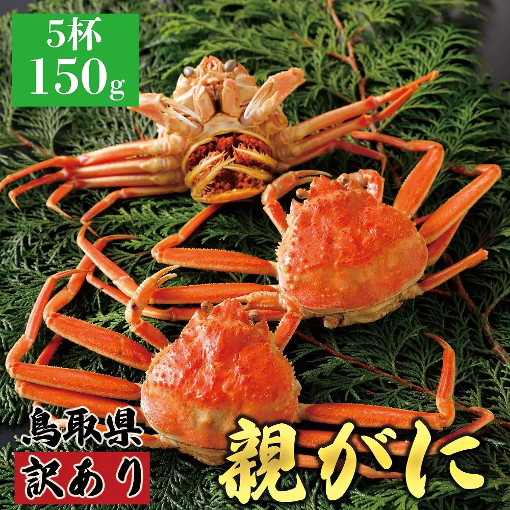 1068.【2026年12月発送】鳥取県産 特撰 親がに 姿【 セコガニ 】（茹）【訳あり】150g 5杯 | ズワイガニ ズワイガニ メス 蟹