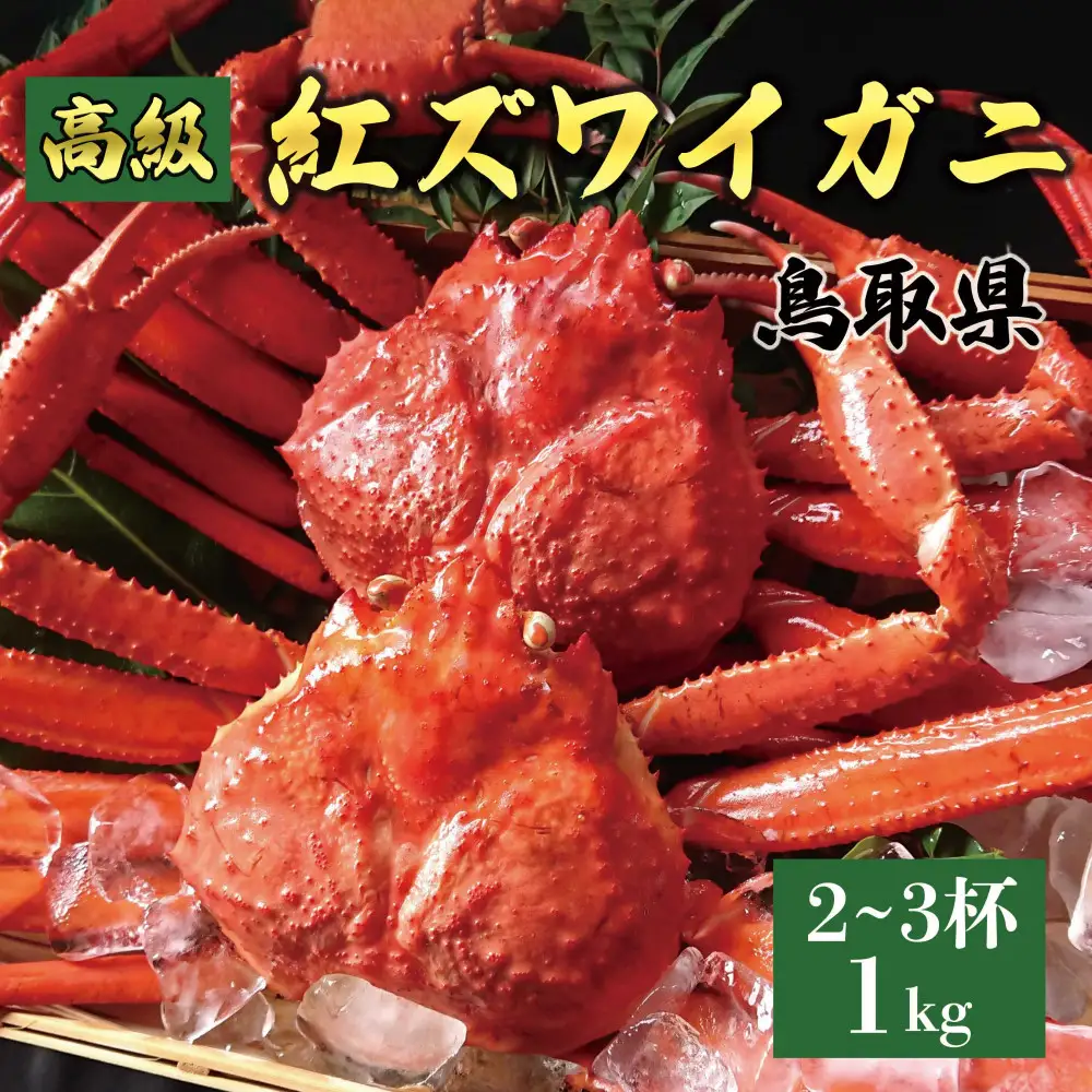 1074.鳥取産 特撰 紅 ズワイガニ 【釜茹で】1kg 2～3杯 | ズワイガニ 蟹