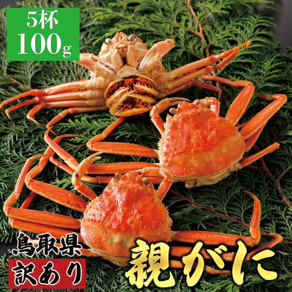 1071.【2026年12月発送】鳥取県産 特撰 親がに 姿【 セコガニ 】（茹）【訳あり】100g 5杯 | ズワイガニ ズワイガニ メス 蟹