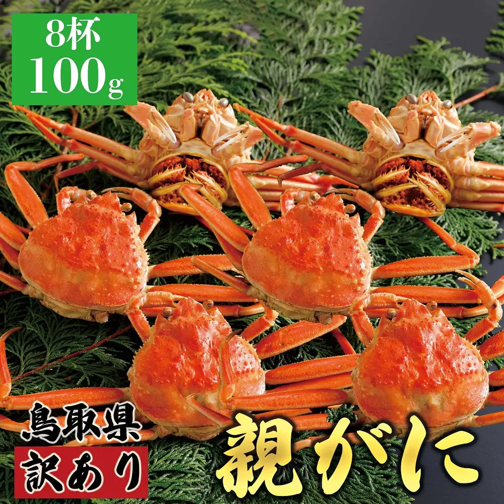 1072.【2026年12月発送】鳥取県産 特撰 親がに 姿【 セコガニ 】（茹）【訳あり】100g 8杯 | ズワイガニ ズワイガニ メス 蟹