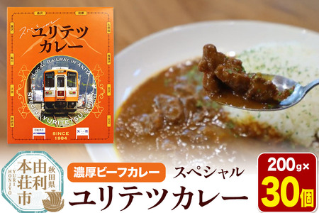由利高原鉄道 スペシャル ユリテツカレー 200g×30個