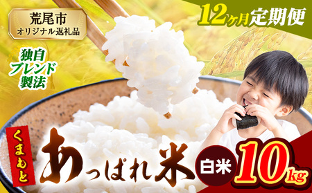 【12ヶ月定期便】 熊本県産 くまもとあっぱれ米 10kg  熊本県産 ふるさと納税 白米 精米 米 こめ ふるさとのうぜい コメ お米 おこめ《お申込み翌月から出荷》