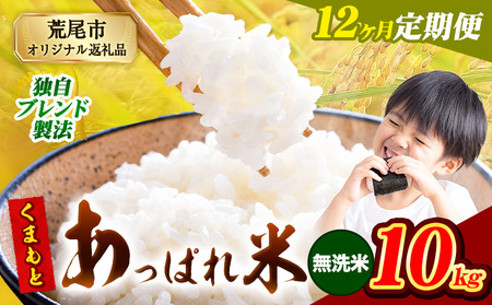 【12ヶ月定期便】 熊本県産 くまもとあっぱれ米 10kg  熊本県産 ふるさと納税 無洗米 精米 米 こめ ふるさとのうぜい コメ お米 おこめ《お申込み翌月から出荷》