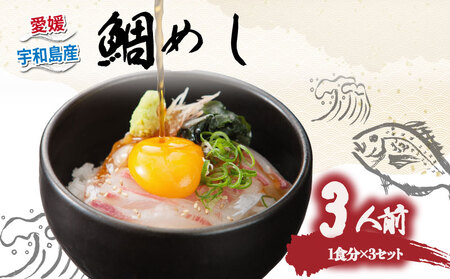 【 海鮮丼 】 鯛めし 鯛 3食 アクアプラス D010-090007
