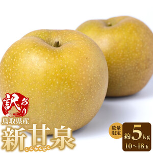 【先行予約】訳あり 数量限定 鳥取県産”新甘泉（しんかんせん） 約5kg （10～18玉）≪2026年9月中旬頃出荷≫|新甘泉