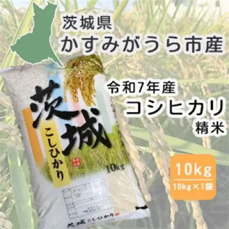 令和7年産　茨城県かすみがうら市産　精米　コシヒカリ　10kg【1662549】