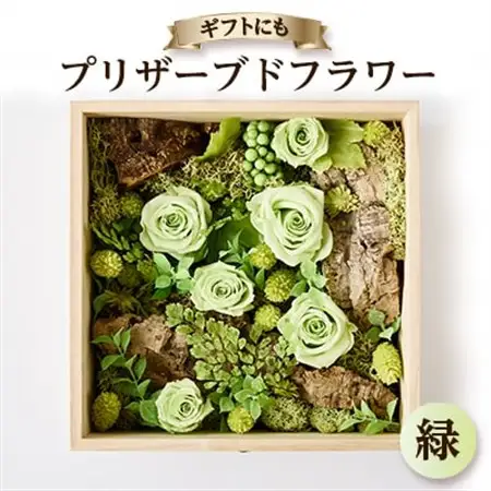 プリザーブドフラワー緑【1624482】