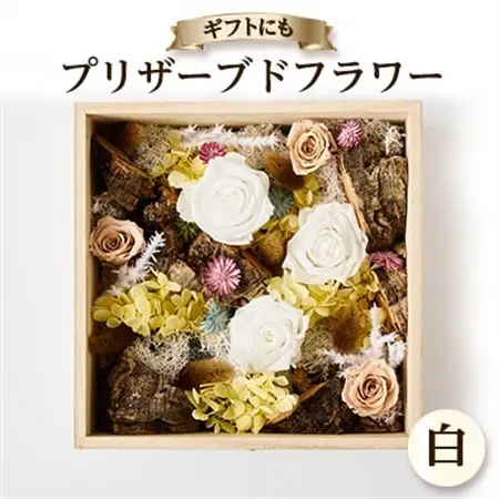 プリザーブドフラワー白【1662935】