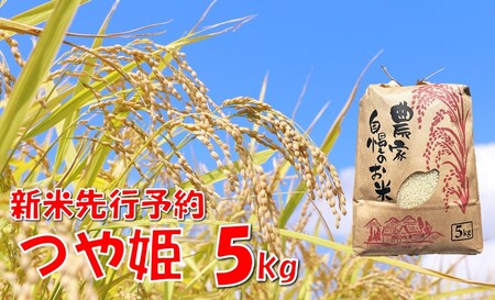 【令和８年産米 先行予約】つや姫5kg　佐藤