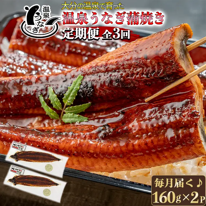 ＜定期便(毎月)全3回＞ 温泉うなぎ 蒲焼 2尾（160gサイズ） 【大分水産】 国産 完全無投薬 うなぎ 九州 大分県 うな丼 うな重 冷凍 鰻 ギフト 受賞 土用の丑の日 スタミナ 夏バテ ＜104-802＞