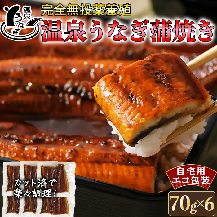 国産 温泉うなぎ 蒲焼 カット 70g×6 自宅用 エコ 包装【大分水産】 うなぎ 完全無投薬 九州 大分県 うな丼 うな重 冷凍 鰻 受賞 食べきり 個包装 小分け スタミナ 夏バテ ＜104-064＞