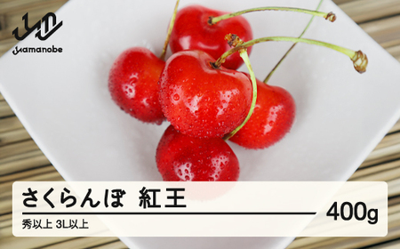 【先行予約】先行予約 さくらんぼ 紅王 3L以上 秀以上 400g 2026年産 令和8年産 山形県産 送料無料 mm-yb3lx400 ※沖縄・離島への配送不可