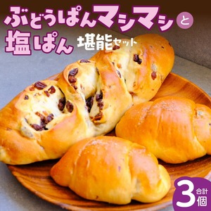 ぶどうぱんマシマシと塩ぱん　堪能セット _ ぶどうぱん 専門店 ぶどぱん 堪能 セット ぶどうぱん 1個 370g前後 塩ぱん × 2個 1個あたり70g前後 レーズン マシマシ しっとり もっちり 食パン生地 トースト 冷凍保存 朝食 昼食 ランチ お取り寄せ 福岡県 久留米市 送料無料  〔Cx243〕