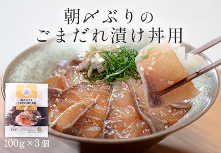 朝〆ぶり ごまだれ漬け丼用 100g×3袋 養殖 ブリ 鰤 小分け 冷凍 簡単調理 人気 海鮮丼