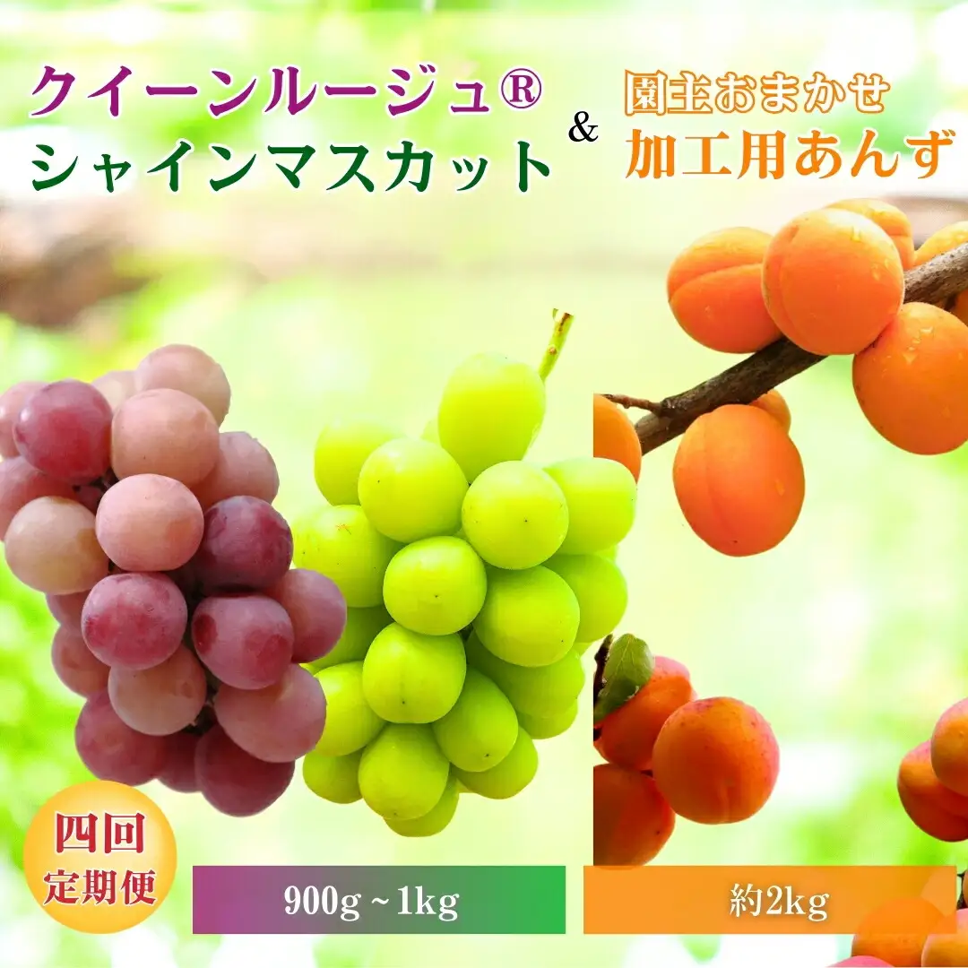 スイートなときめき 加工用あんず＆ぶどう定期便４回｜フルーツ