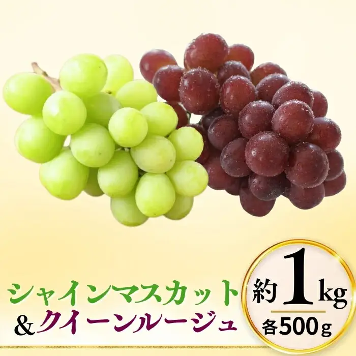 【2026年先行予約】シャインマスカット ＆ クイーンルージュ® 詰め合わせ セット  計約1kg（2~3房）※最低900g以上｜ ぶどう ぶどう