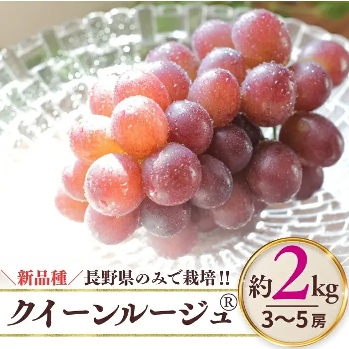 【2026年先行予約】クイーンルージュ® 約2kg（4~6房）※最低1.8kg以上｜ ぶどう ぶどう