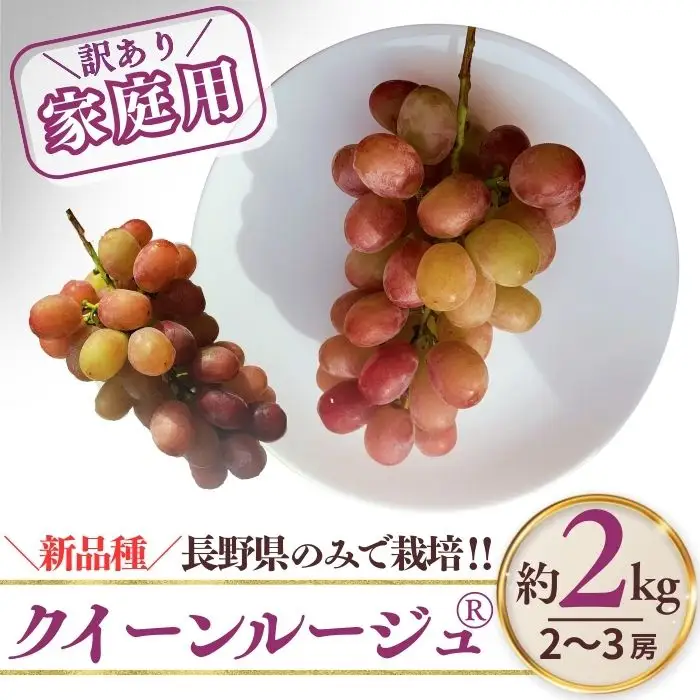 【2026年先行予約】訳あり クイーンルージュ®  約2kg（4~6房）※最低1.8kg以上｜ ぶどう ぶどう