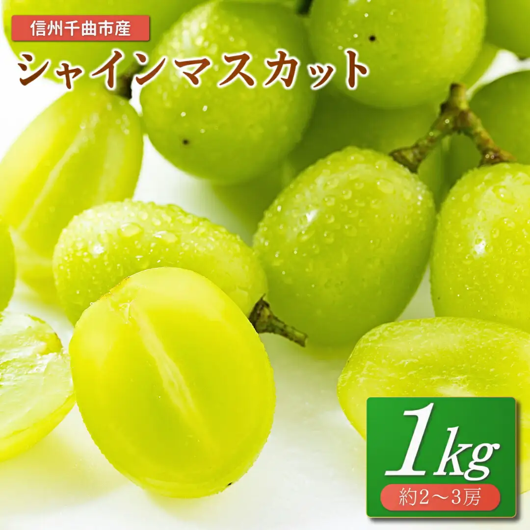 【2026年先行予約】シャインマスカット 1kg(2~3房)｜ シャインマスカット