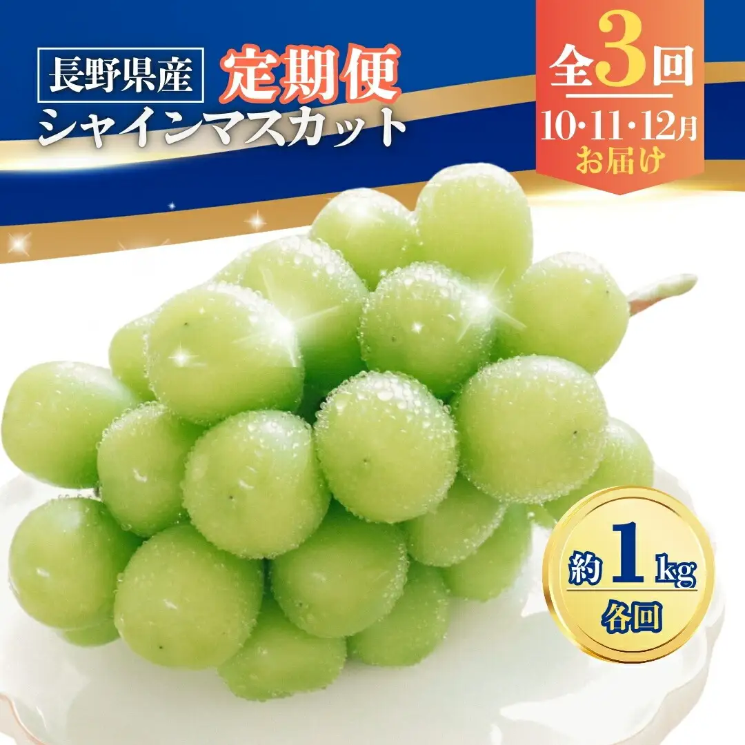 【2026年先行予約】【定期便3回】シャインマスカット約1kg×3回(2026年10月/11月/12月発送)|シャインマスカット