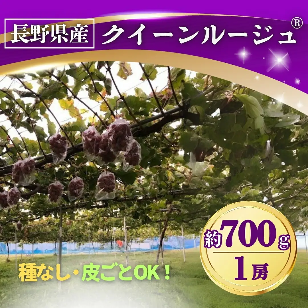 【2026年先行予約】ぶどう クイーンルージュ® 約700g(1房) 長野県オリジナル品種｜ぶどう