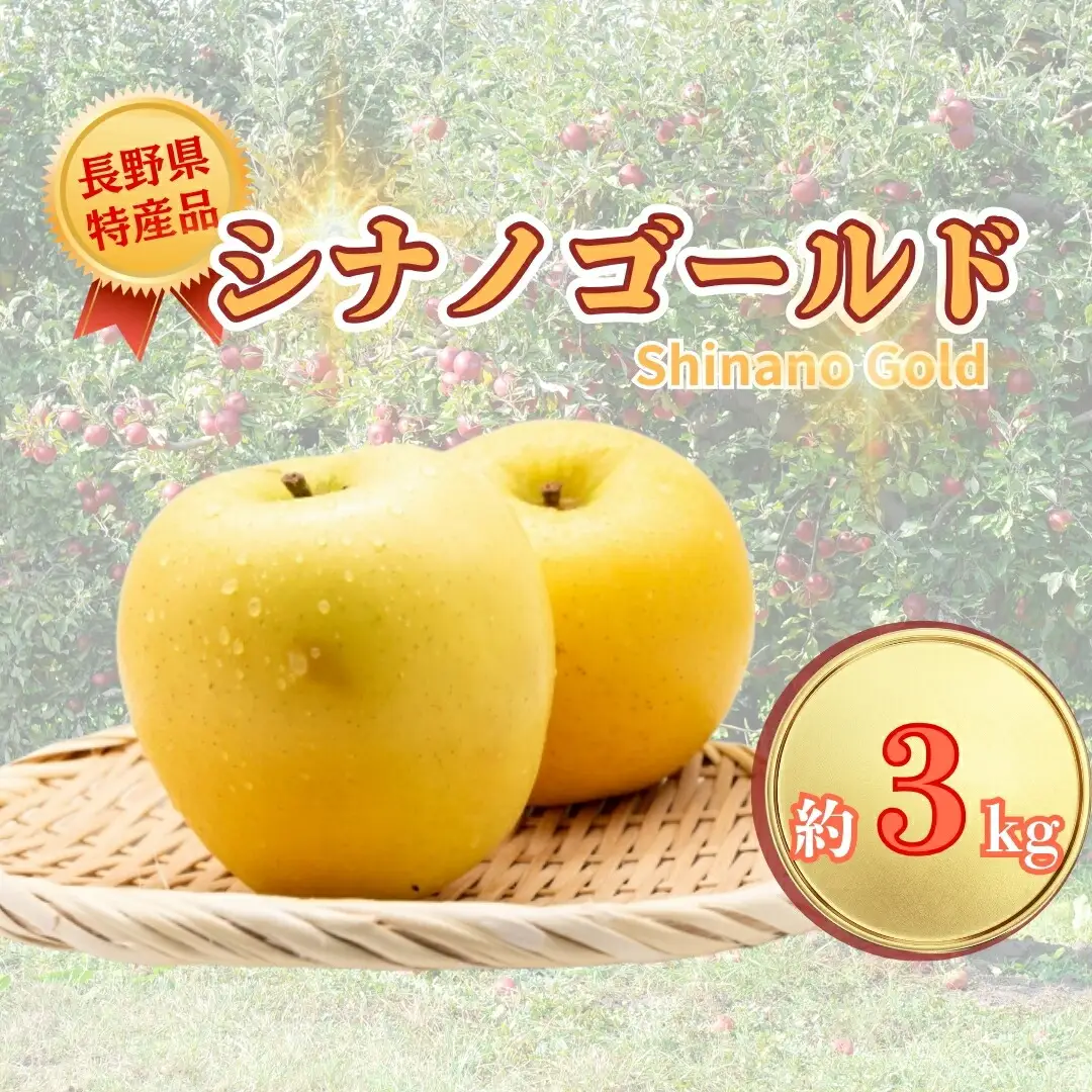 【2026年先行予約】シナノゴールド 約3kg| りんご