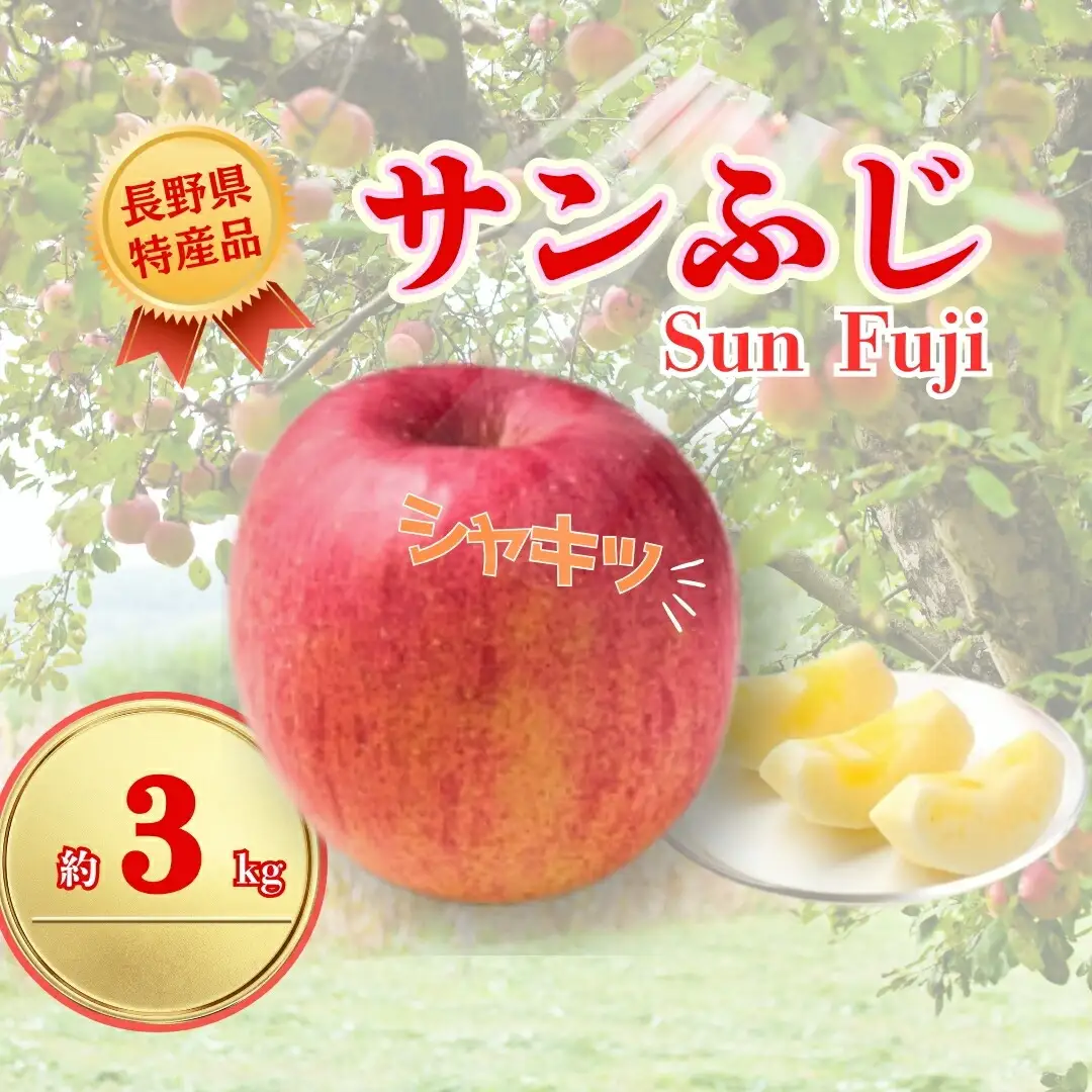 【2026年先行予約】サンふじ 約3kg| りんご