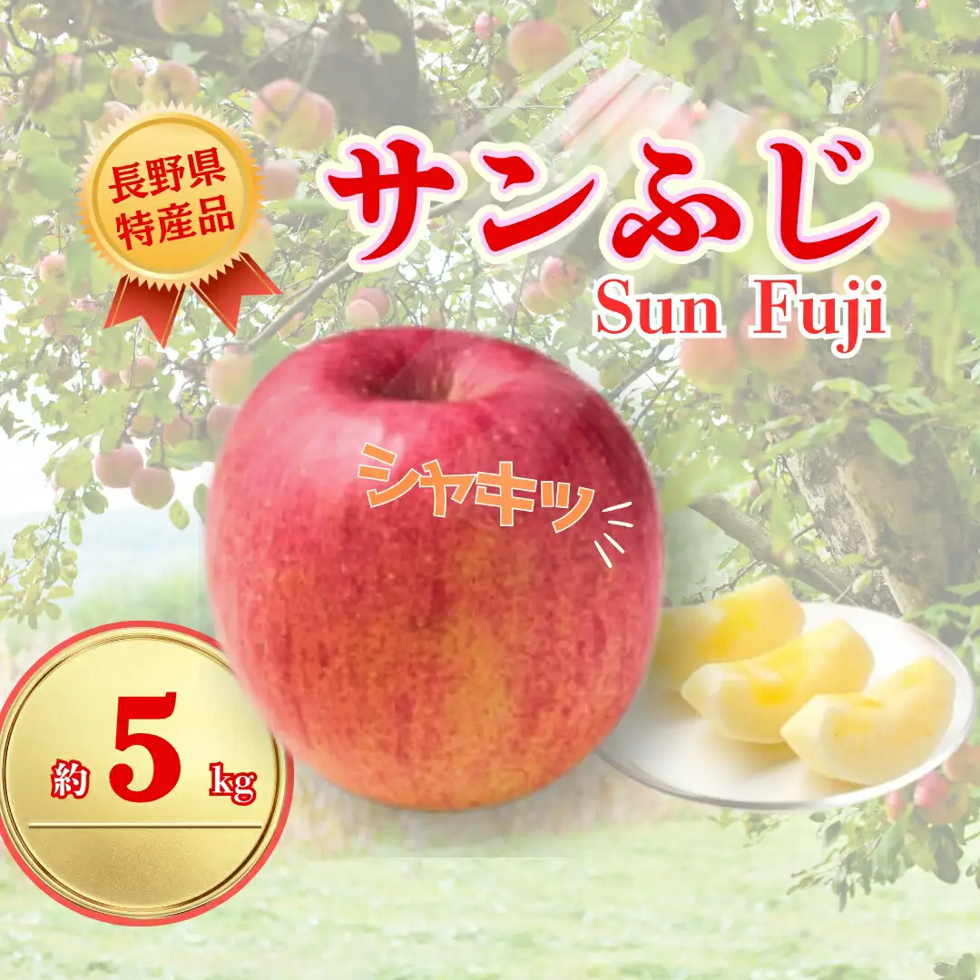 【2026年先行予約】サンふじ 約5kg|りんご