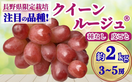 【2026年先行予約】クイーンルージュ®︎ 約2kg(3~5房)｜ ぶどう