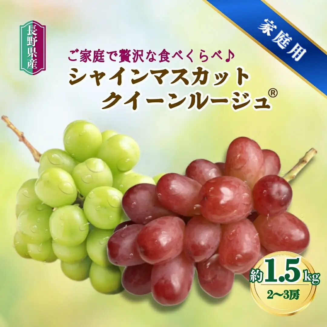 【2026年先行予約】家庭用 シャインマスカット＆クイーンルージュ®︎ 約1.5kg(2~3房)｜ ぶどう