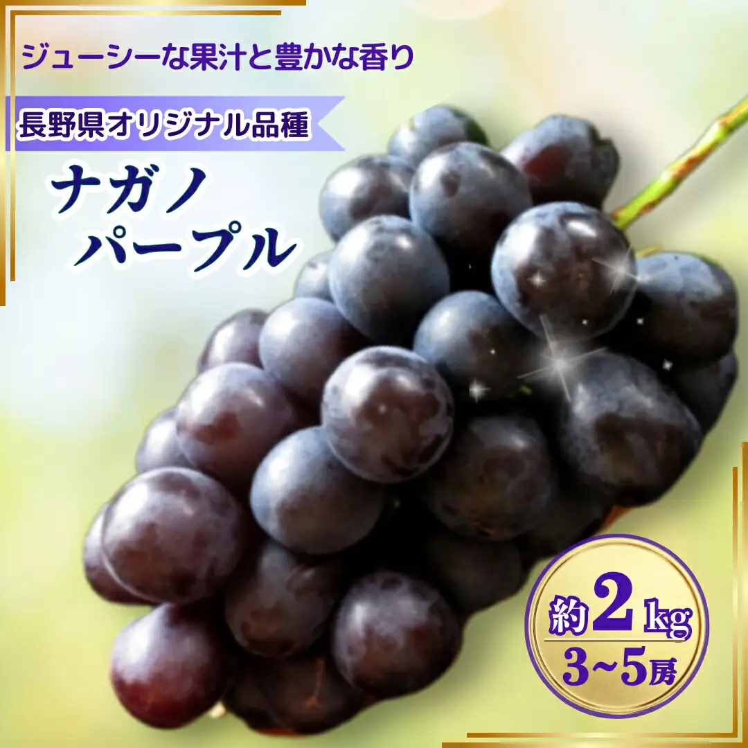 【2026年先行予約】ナガノパープル 約2kg(3~5房)｜ぶどう
