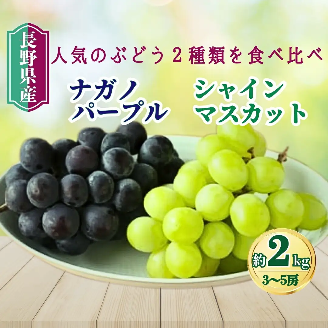 【2026年先行予約】家庭用 シャインマスカット＆ナガノパープル 約2kg（3~5房）｜ ぶどう