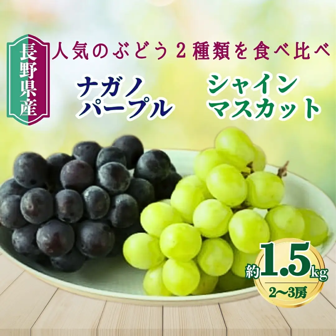 【2026年先行予約】家庭用 シャインマスカット＆ナガノパープル 約1.5kg（2~3房）｜ ぶどう