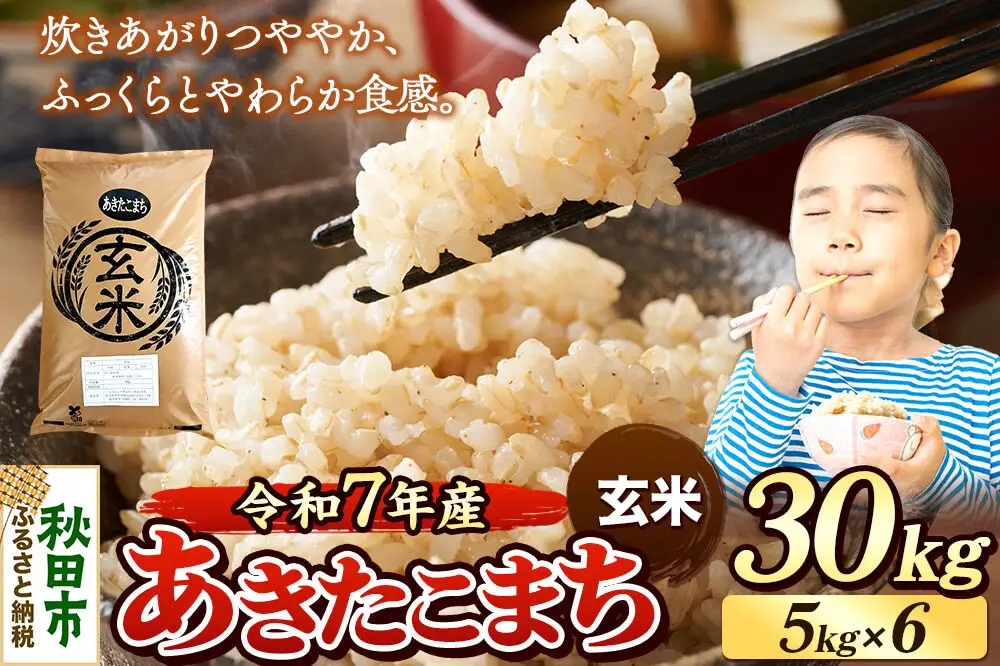 《令和7年産》 米 あきたこまち 30kg（5kg×6袋） 【玄米】 秋田県産