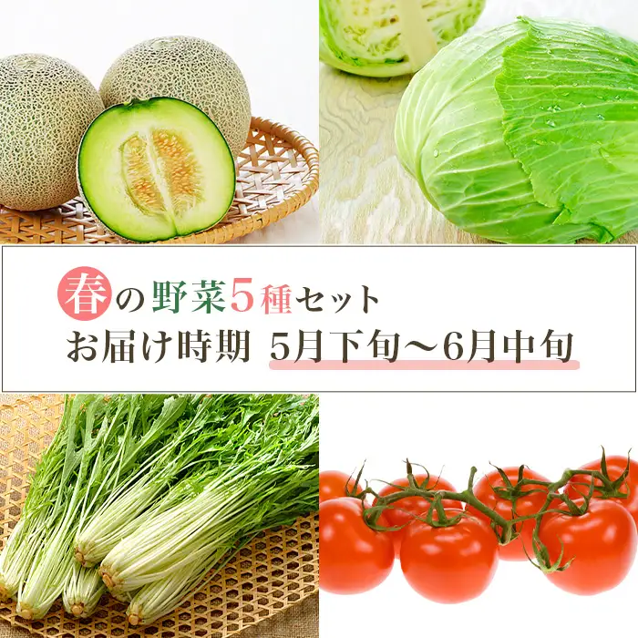 657 茨城町 春の野菜セット メロン トマト きゅうり キャベツ みず菜