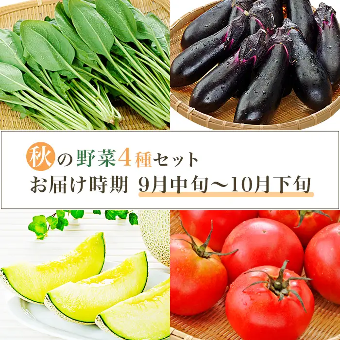 659 茨城町 秋の野菜セット メロン ほうれん草 トマト なす