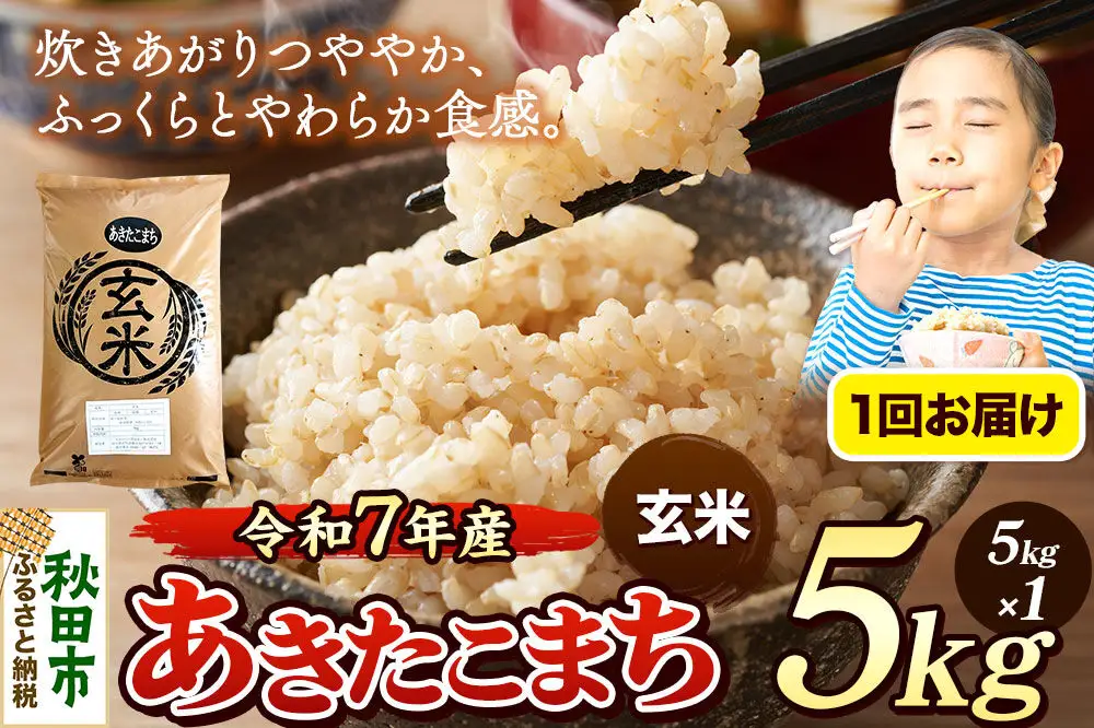 《令和7年産》 米 あきたこまち 5kg 【玄米】 秋田県産