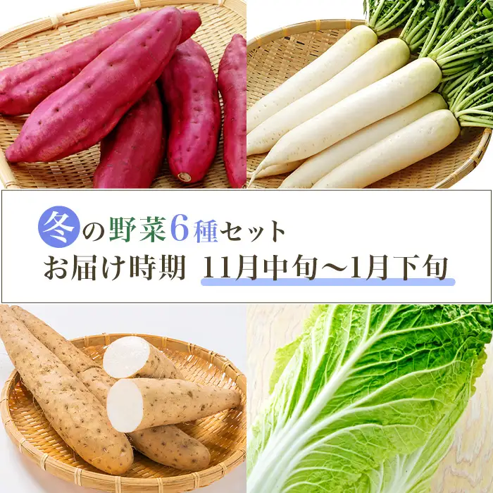 660 茨城町 冬の野菜セット さつまいも にんじん だいこん チンゲン菜 長いも 白菜